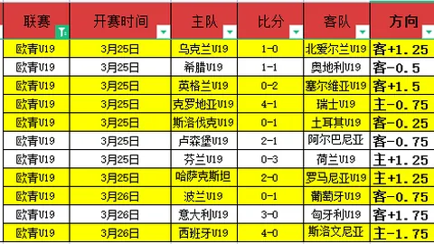 维塞乌主场分析：专家推荐大乐透期号策略